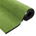 Covoraș de intrare Verde și Negru 120 x 350 cm Poliamidă și PVC - WALTI WALTI