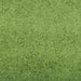 Covoraș de intrare Verde și Negru 120 x 400 cm Poliamidă și PVC - WALTI WALTI