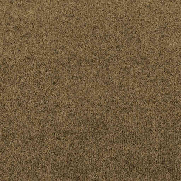Covoraș de intrare Maro și negru 120 x 300 cm Poliamidă și PVC - WALTI WALTI