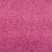 Covoraș de intrare Roz și Negru 120 x 300 cm Poliamidă și PVC - WALTI WALTI