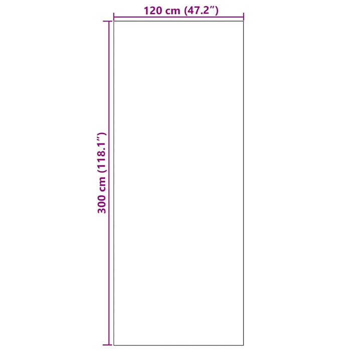 Covoraș de intrare Cyan și Negru 120 x 300 cm Poliamidă și PVC - WALTI WALTI