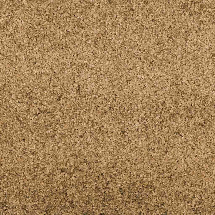 Covoraș de intrare Altele Cafea cu lapte și negru 120 x 350 cm - WALTI WALTI