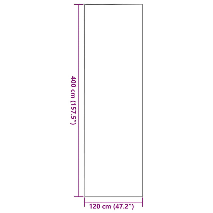 Covoraș de intrare Negru 120 x 400 cm 100% Poliamidă WALTI