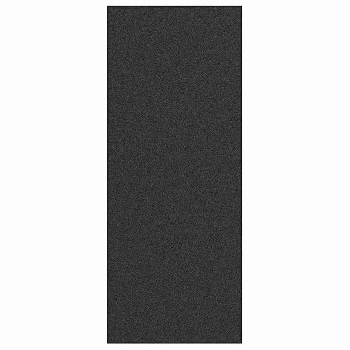Covoraș de intrare Antracit și negru 120 x 300 cm WALTI