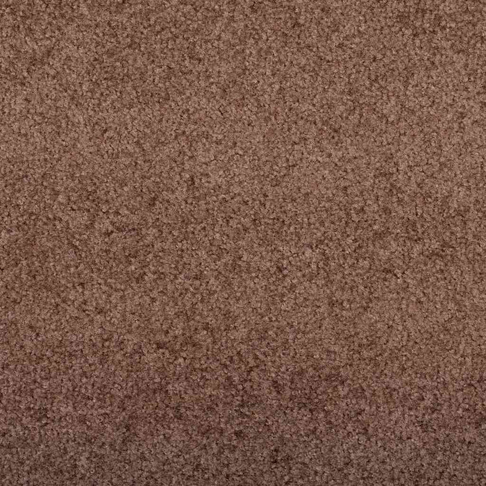 Covoraș de intrare Altele Maro și negru 120 x 250 cm - WALTI WALTI