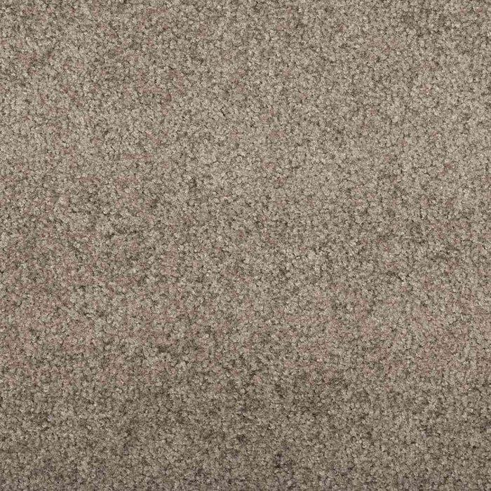Covoraș de intrare Bej și negru 120 x 180 cm 100% Poliamidă WALTI