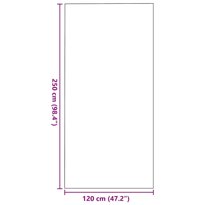 Covoraș de intrare Bej și negru 120 x 250 cm 100% Poliamidă WALTI