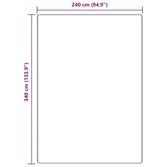 Covor Shaggy Antiderapant Crem 240 x 340 cm PP - WALTI WALTI