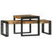 Masă de cafea 2 pcs Maro 48 x 40 x 40 cm Lemn masiv de mango - WALTI WALTI