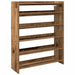 Pantofar, Lemn vechi, 80x25x100 cm, lemn compozit - WALTI WALTI