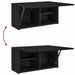 Dulap de perete de baie, negru, 60x25x30 cm, lemn prelucrat - WALTI WALTI