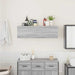 Dulap perete baie, gri sonoma, 100x25x30 cm, lemn prelucrat - WALTI WALTI