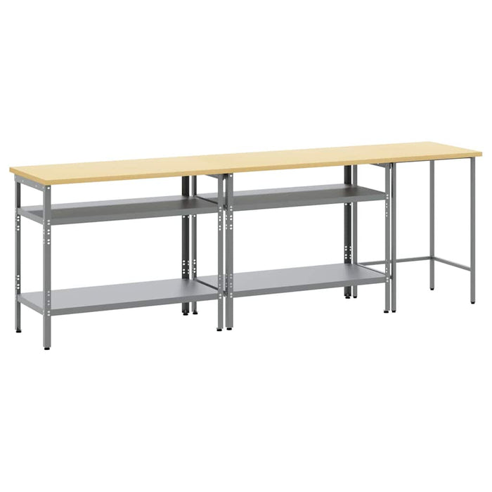Set banc de lucru cu raft cu depozitare Ajustabil Gri Oțel - WALTI WALTI
