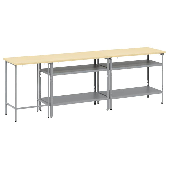 Set banc de lucru cu raft cu depozitare Ajustabil Gri Oțel - WALTI WALTI