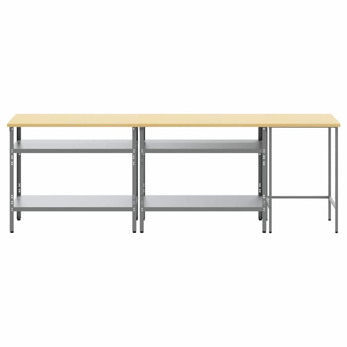 Set banc de lucru cu raft cu depozitare Ajustabil Gri Oțel - WALTI WALTI