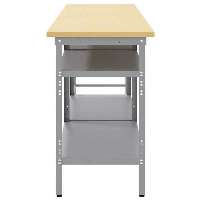 Set banc de lucru cu raft cu depozitare Ajustabil Gri Oțel - WALTI WALTI