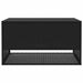 Cutie de perne de exterior Negru 100x55x55,5 cm Poly Rattan - WALTI WALTI