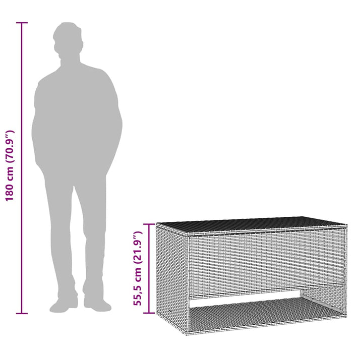 Cutie de perne de exterior maro 100x55x55,5 cm Poly Rattan - WALTI WALTI