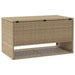 Cutie de perne de exterior Bej 100x55x55,5 cm Poly Rattan - WALTI WALTI