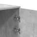 Dulap de depozitare, gri beton, 40x45x103,5 cm lemn prelucrat - WALTI WALTI