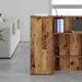 Dulap de depozitare din lemn vechi 40x45x103,5cm lemn prelucrat - WALTI WALTI