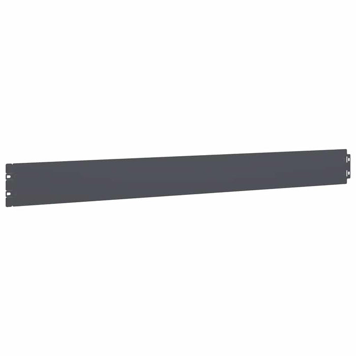 Borduri de gazon 10 buc Antracit 10x103 cm Oțel laminat la rece - WALTI WALTI