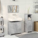 Set mobilier de baie, 3 piese, gri beton, lemn compozit - WALTI WALTI