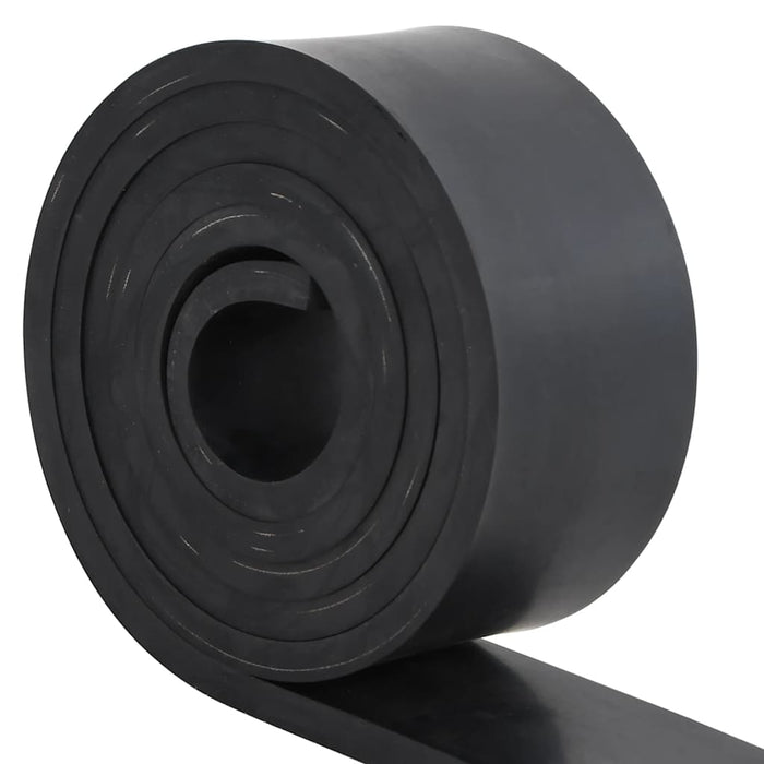 Margine de cauciuc pentru plug de zăpadă negru 250x8x1 cm - WALTI WALTI
