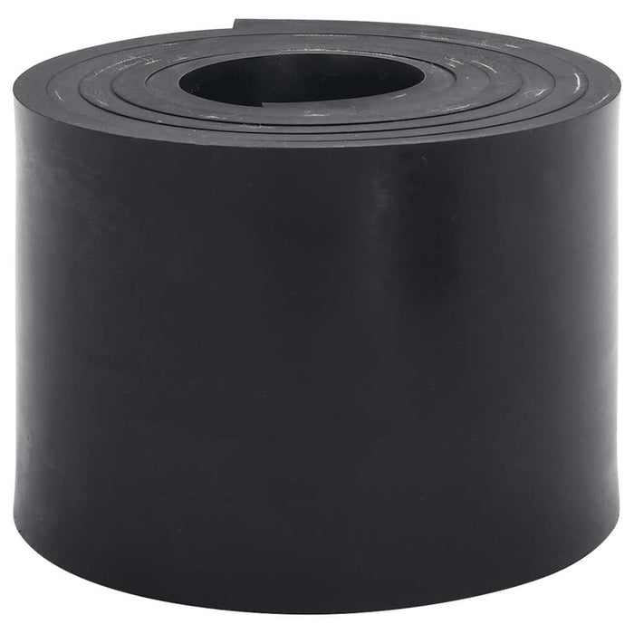 Margine de cauciuc pentru plug de zăpadă negru 250x15x1 cm - WALTI WALTI