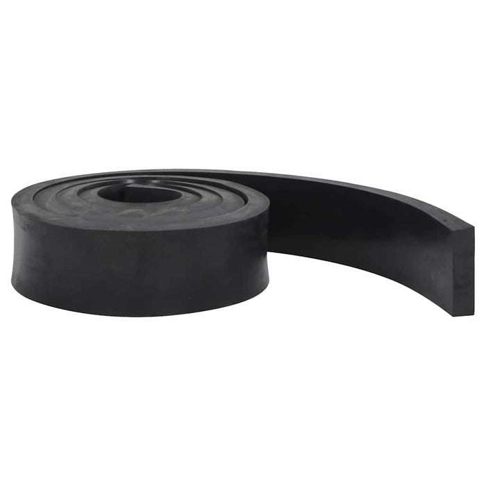 Margine de cauciuc pentru plug de zăpadă negru 250x8x2 cm - WALTI WALTI