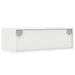 Dulap TV cu lumini LED alb 75x35,5x25 cm - WALTI WALTI