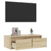 Comodă TV cu lumini LED, stejar sonoma, 75x35,5x25 cm - WALTI WALTI