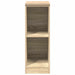 Dulap depozitare garaj Stejar Sonoma 30x51x85 cm lemn masiv pin - WALTI WALTI