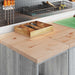 Dulap depozitare garaj gri Sonoma 30x51x85 cm - WALTI WALTI