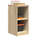 Dulap depozitare garaj Stejar Sonoma 40x51x85 cm lemn masiv pin - WALTI WALTI