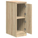 Dulap depozitare garaj Stejar Sonoma 30x51x85 cm lemn masiv pin - WALTI WALTI