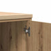 Dulap de depozitare pentru garaj Artisan Stejar 40x51x85 cm - WALTI WALTI