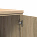 Dulap depozitare garaj Stejar Sonoma 60x51x85 cm lemn masiv pin - WALTI WALTI