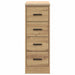 Dulap de depozitare pentru garaj Artisan Stejar 30x51x85 cm - WALTI WALTI