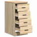 Dulap depozitare garaj Stejar Sonoma 40x51x85 cm lemn masiv pin - WALTI WALTI