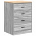 Dulap depozitare garaj gri Sonoma 60x51x85 cm - WALTI WALTI