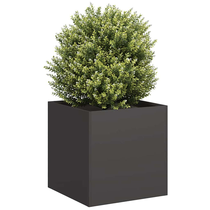 Jardinier negru 40x40x40 cm Oțel laminat la rece - WALTI WALTI