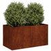 Jardinieră Rusty 80x40x40 cm Oțel pentru intemperii - WALTI WALTI