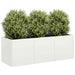 Jardinier alb 120x40x40 cm Oțel laminat la rece - WALTI WALTI