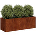 Jardinieră Rusty 120x40x40 cm Oțel pentru intemperii - WALTI WALTI