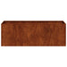 Jardinieră Rusty 120x40x40 cm Oțel pentru intemperii - WALTI WALTI