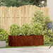 Jardinieră Rusty 120x40x40 cm Oțel pentru intemperii - WALTI WALTI
