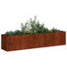 Jardinieră Rusty 200x40x40 cm Oțel pentru intemperii - WALTI WALTI