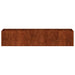 Jardinieră Rusty 200x40x40 cm Oțel pentru intemperii - WALTI WALTI