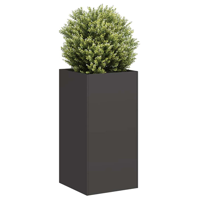 Jardinier negru 40x40x80 cm Oțel laminat la rece - WALTI WALTI
